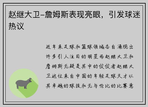 赵继大卫-詹姆斯表现亮眼，引发球迷热议